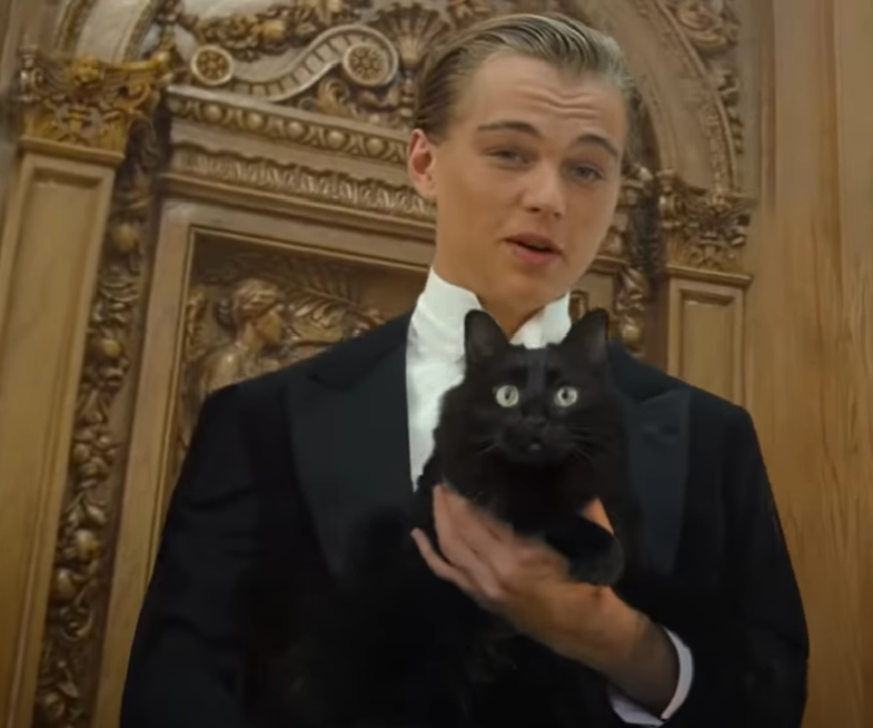 Cat Starring in Titanic Parody Video! Very Cool!